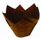 P60r Χ 165 - μέση Muffin τουλιπών τουλίπα Muf του Τέξας περικαλυμμάτων καφετιά κανονική